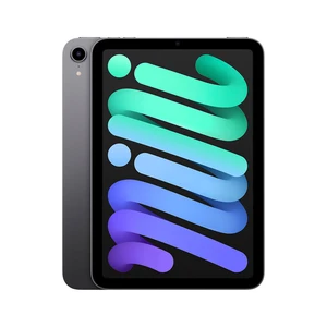 iPad mini 6th Gen Wi-Fi 64GB