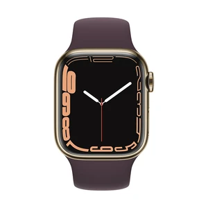 Apple Watch Series 7 GPS + Cellular, 41mm Stainless Steel Case with Sport Band - Regular