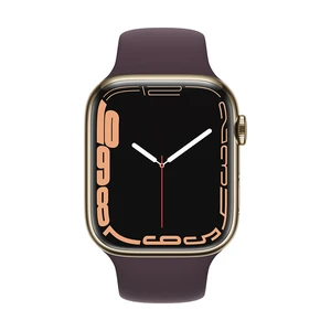 Apple Watch Series 7 GPS + Cellular, 45mm Stainless Steel Case with Sport Band - Regular