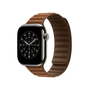42mm Caramel Magnetic Link - M/L – MGD94ZM/A