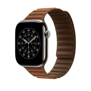 46mm Caramel Magnetic Link - M/L – MGDG4ZM/A