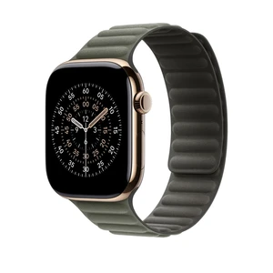 46mm Sage Gray Magnetic Link - M/L – MGDL4ZM/A