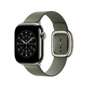 42mm Sage Gray Modern Buckle - Large – MGGC4ZM/A