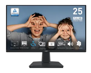 מסך מחשב עסקי 25" MSI PRO MP251