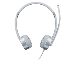 Lenovo 100 Stereo Analogue Headset – GXD1E71386