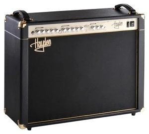 מגבר לגיטרה חשמלית Hayden Peacemaker 40