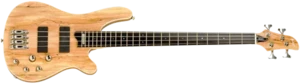 גיטרת בס Budagov Mojo B+Bartolini