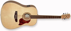 גיטרה אקוסטית Budagov Ditty-EQ Rosewood
