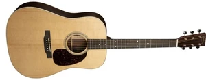 גיטרה אקוסטית MARTIN D16E