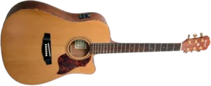 גיטרה אקוסטית Budagov Fame EQ
