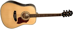 גיטרה אקוסטית Budagov Artist-EQ