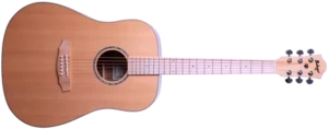 גיטרה אקוסטית Budagov Ditty-/M-EQ