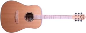 גיטרה אקוסטית Budagov Ditty Maple neck