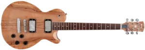 גיטרה חשמלית Budagov Blaze Custom-SPM