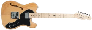 גיטרה חשמלית Budagov Thinline