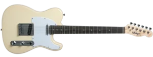 גיטרה חשמלית Budagov Tele Master-IV