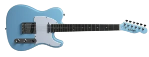 גיטרה חשמלית Budagov Tele Master SKBL