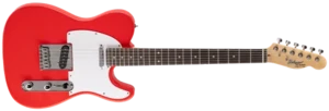 גיטרה חשמלית Budagov Tele Master FR